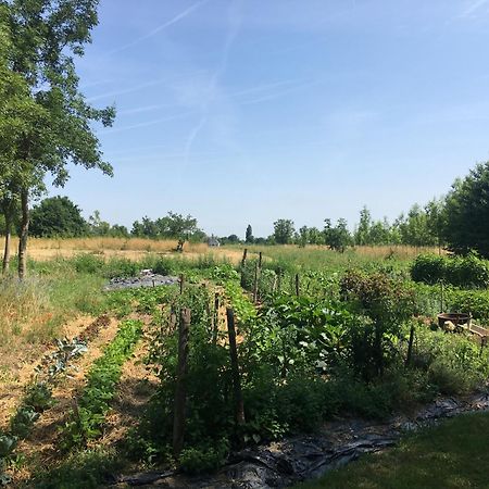 Les Chantours, Domaine De 15 Hectares Arbore Et Fleuri Bed & Breakfast Saint-Antoine-Cumond Luaran gambar