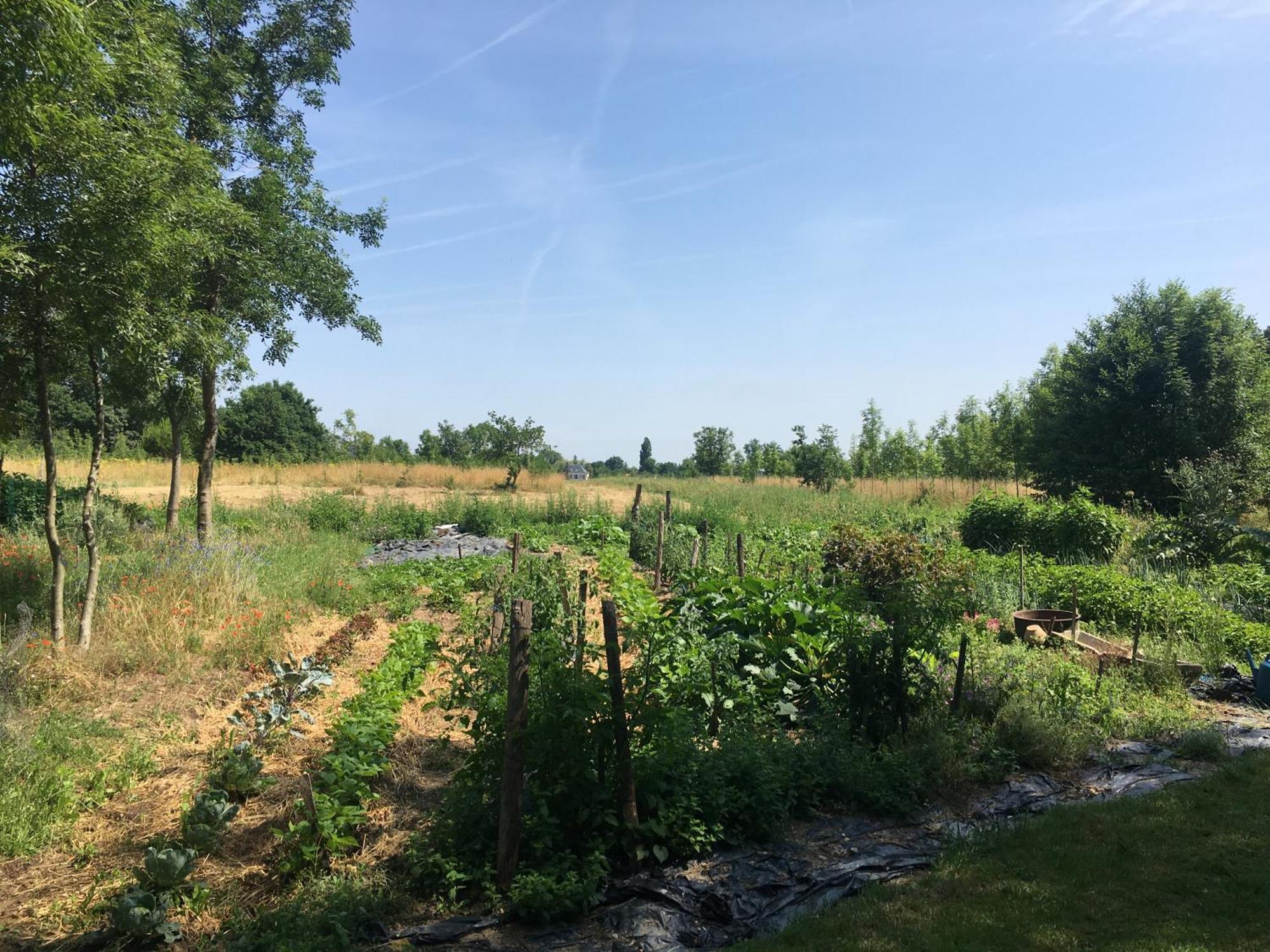 Les Chantours, Domaine De 15 Hectares Arbore Et Fleuri Bed & Breakfast Saint-Antoine-Cumond Luaran gambar