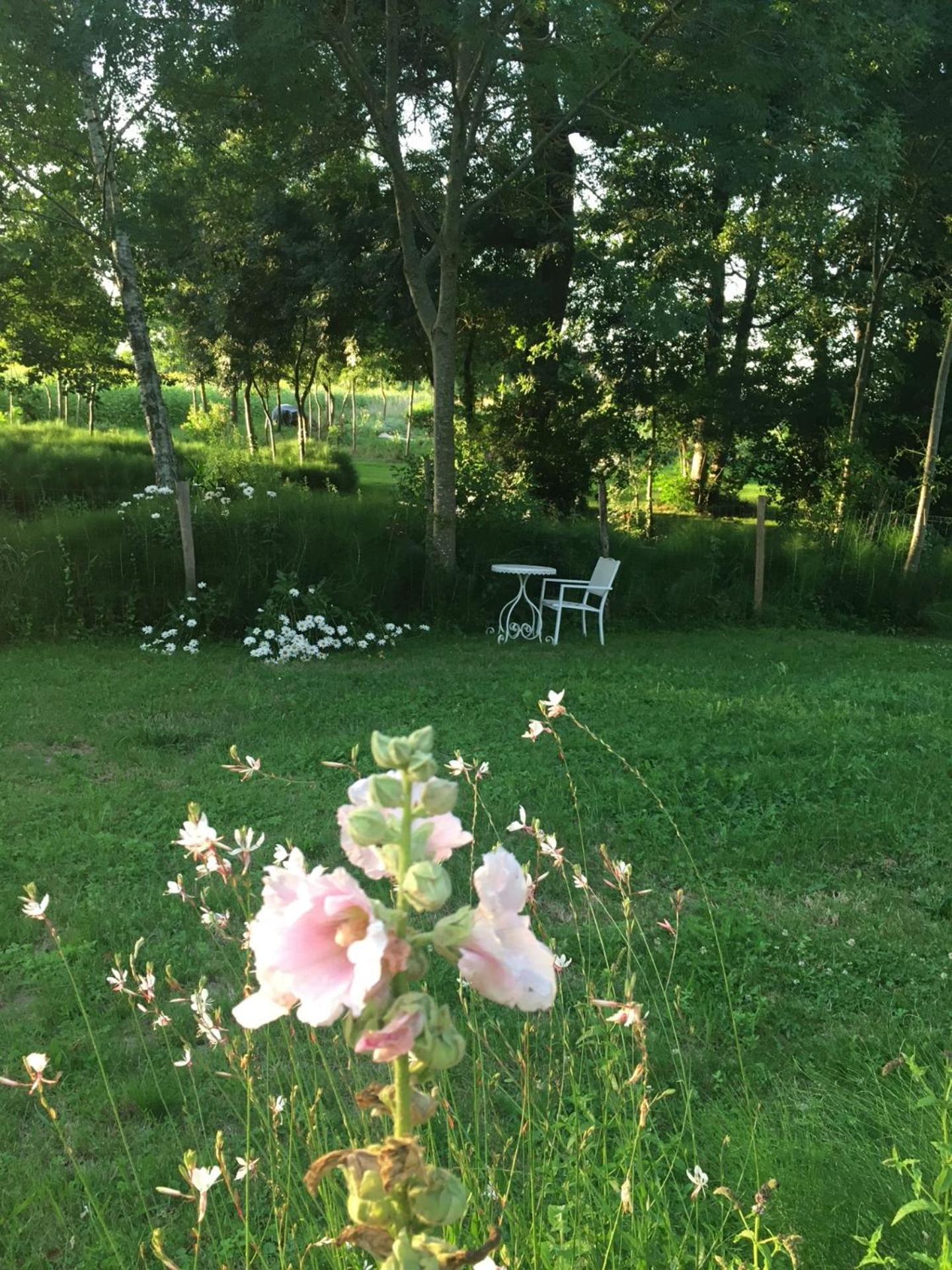 Les Chantours, Domaine De 15 Hectares Arbore Et Fleuri Bed & Breakfast Saint-Antoine-Cumond Luaran gambar