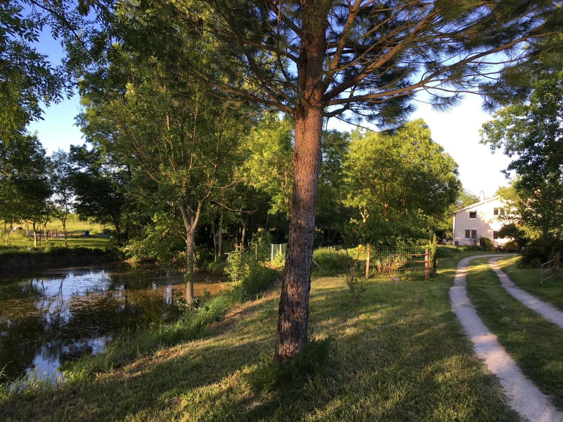 Les Chantours, Domaine De 15 Hectares Arbore Et Fleuri Bed & Breakfast Saint-Antoine-Cumond Luaran gambar